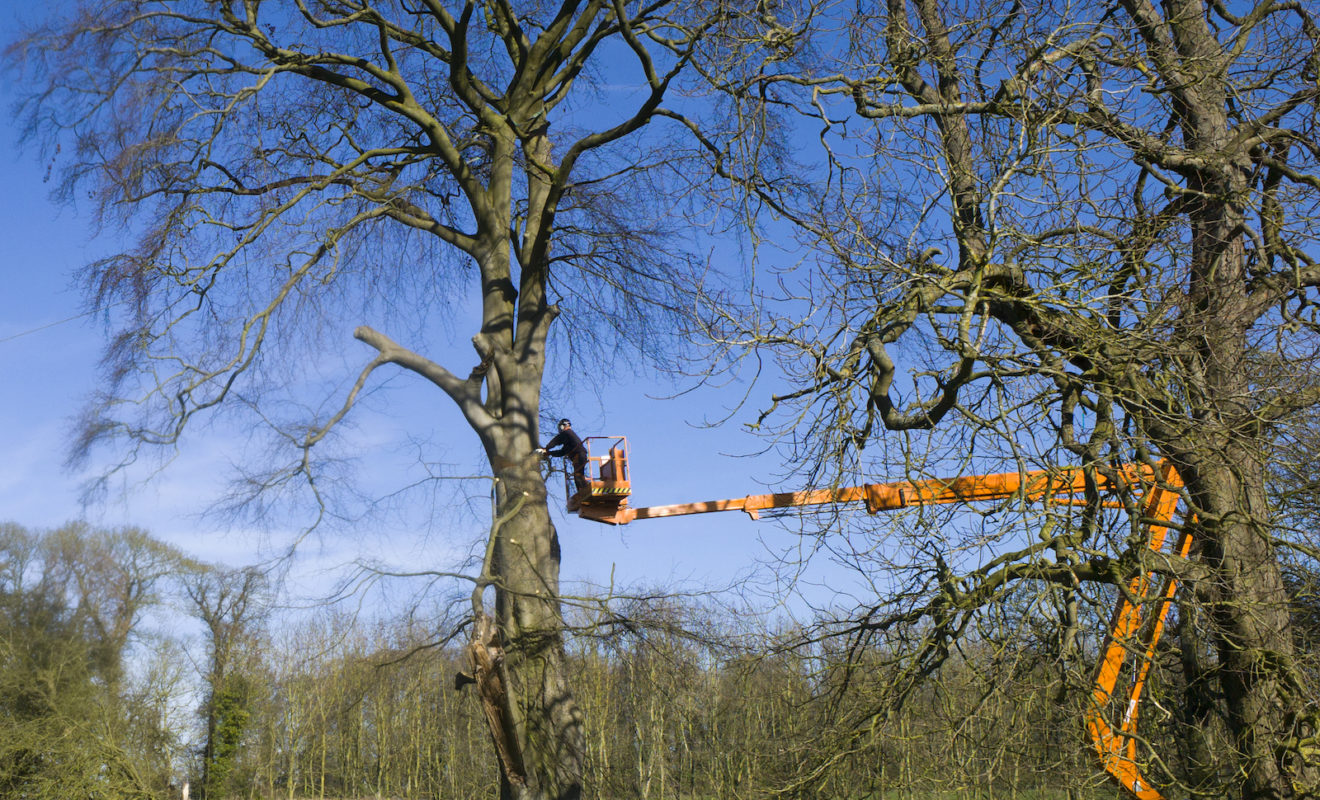 Man On Crane