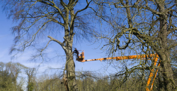 Man On Crane