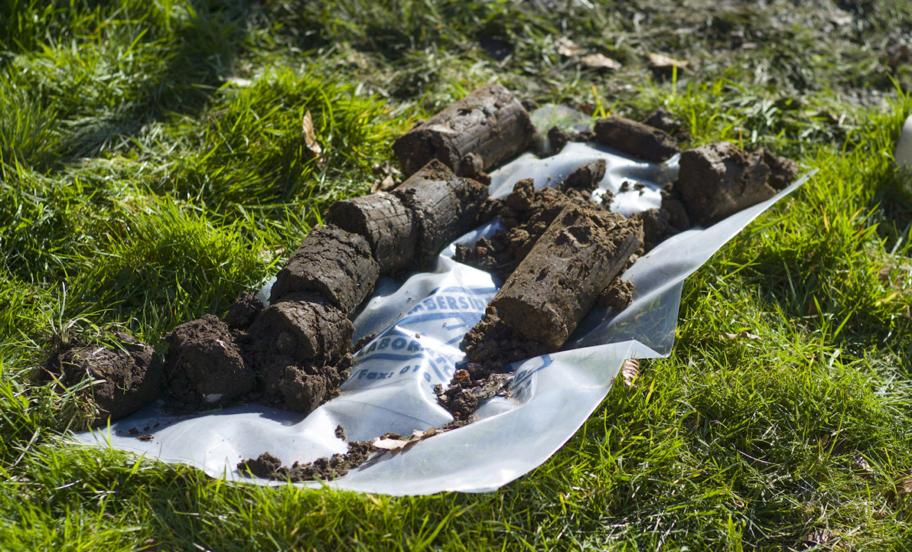 soil samples