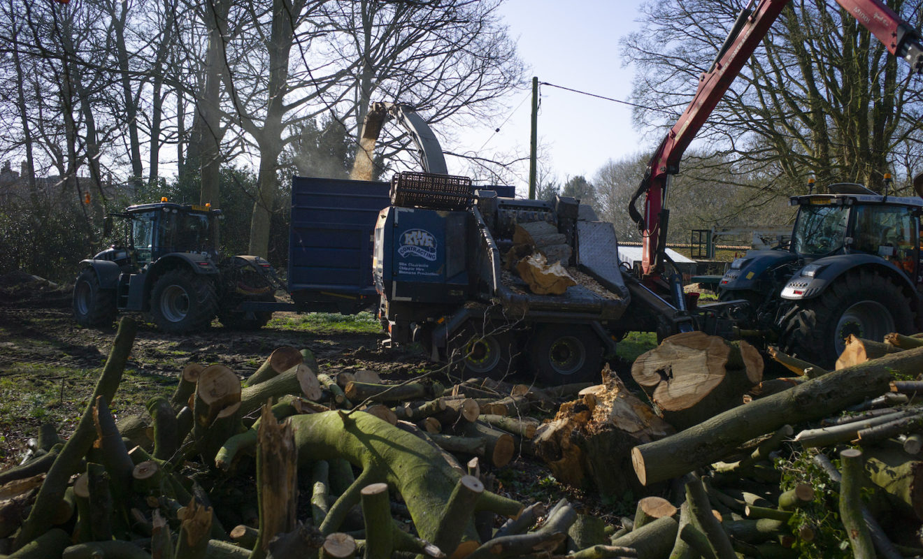 Cutting Down Trees