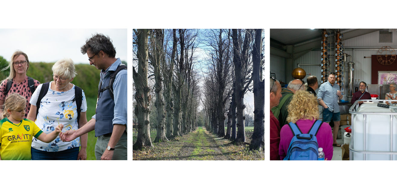 tour guide, distillery, lime trees