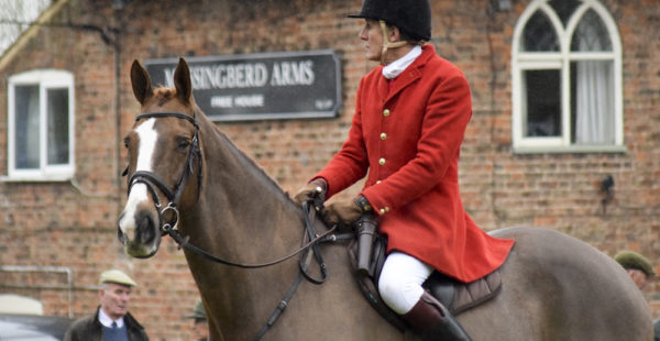 Woman On Horse