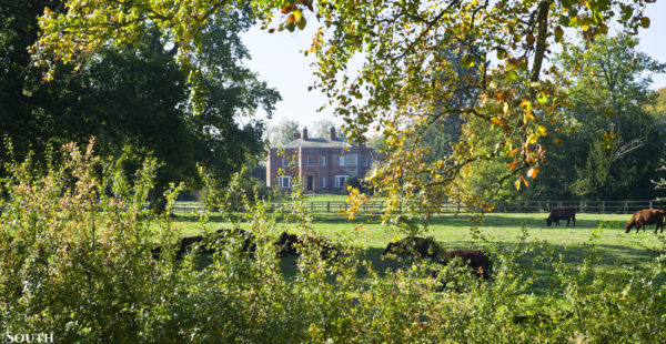 Autumnal South Ormsby Hall