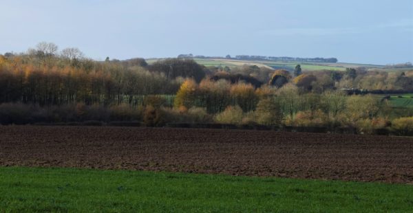 Lincolnshire Landscape and field