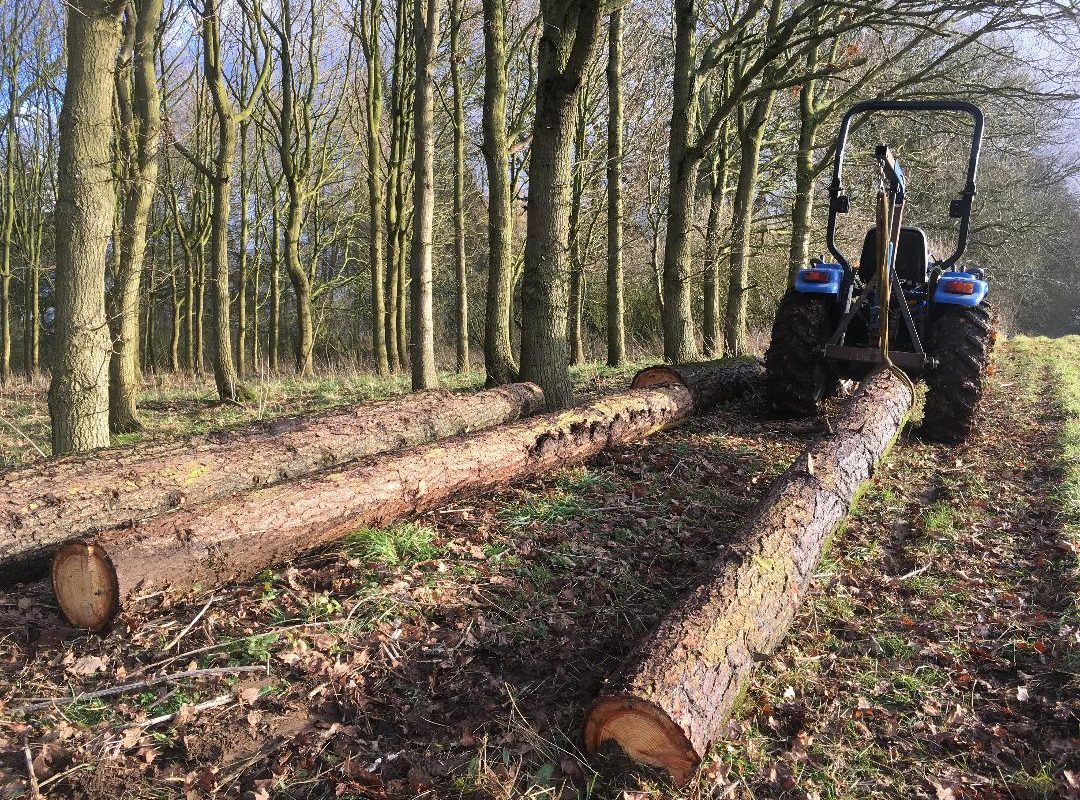 Tractor Transporting Tree Trunks