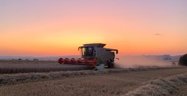 Combine Harvester farming in the Wolds