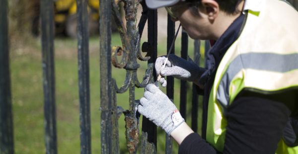 Man Surveying Paint On Gate