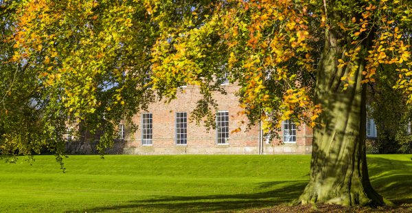 Tree In Front Of Estate