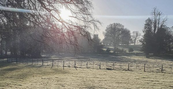 South Ormsby Fields