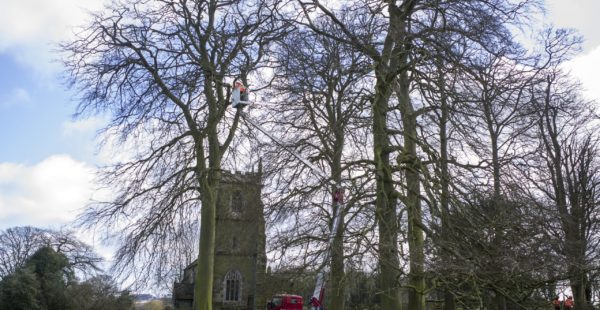 Trees In Front Of Church