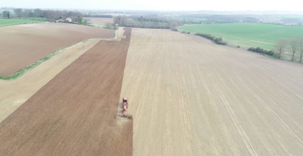 Above Shot Of Fields