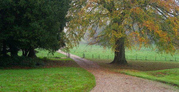 The path leading into South Ormsby Estate