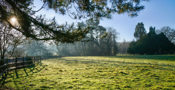 south ormsby estate pasture