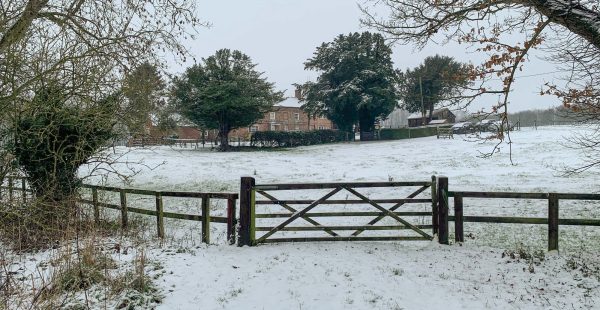 Snow On Field