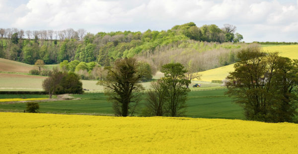 A shot of the Lincolnshire Landscape