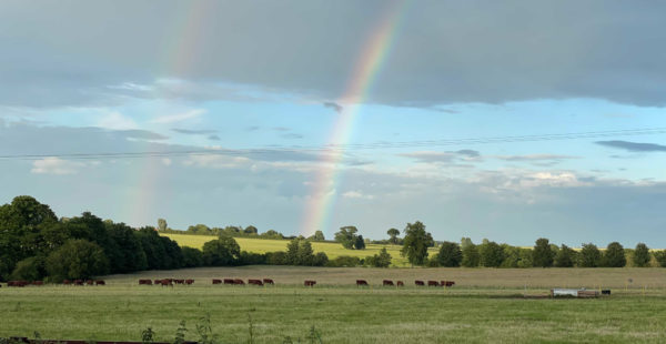 Lincolnshire Wolds