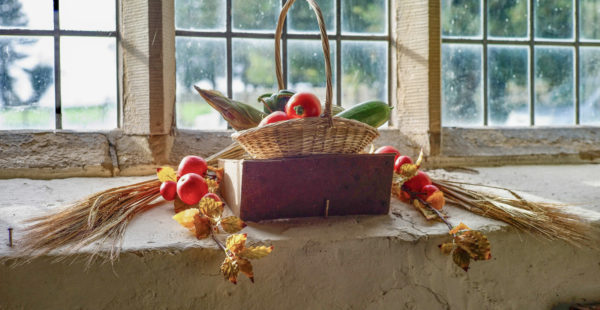 Basket of Veg in Window