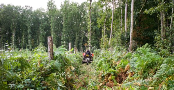 Person Mowing Long Grass