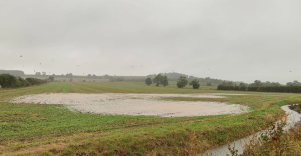 Grey Skies Over Fields