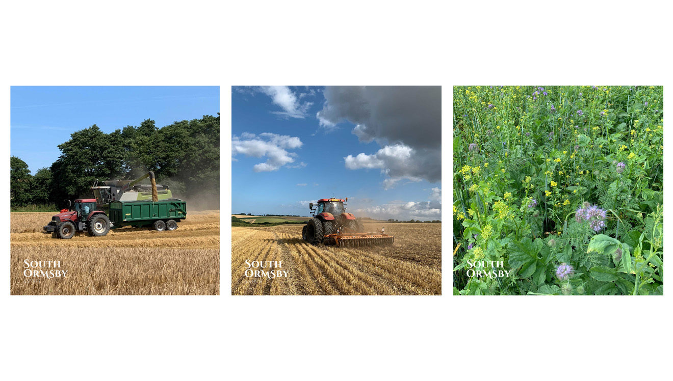 harvest & bird plot