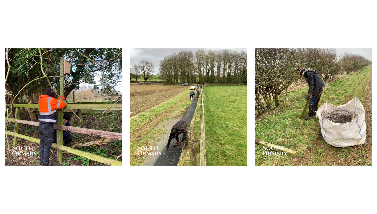 nesting box installation & planting hedgerow