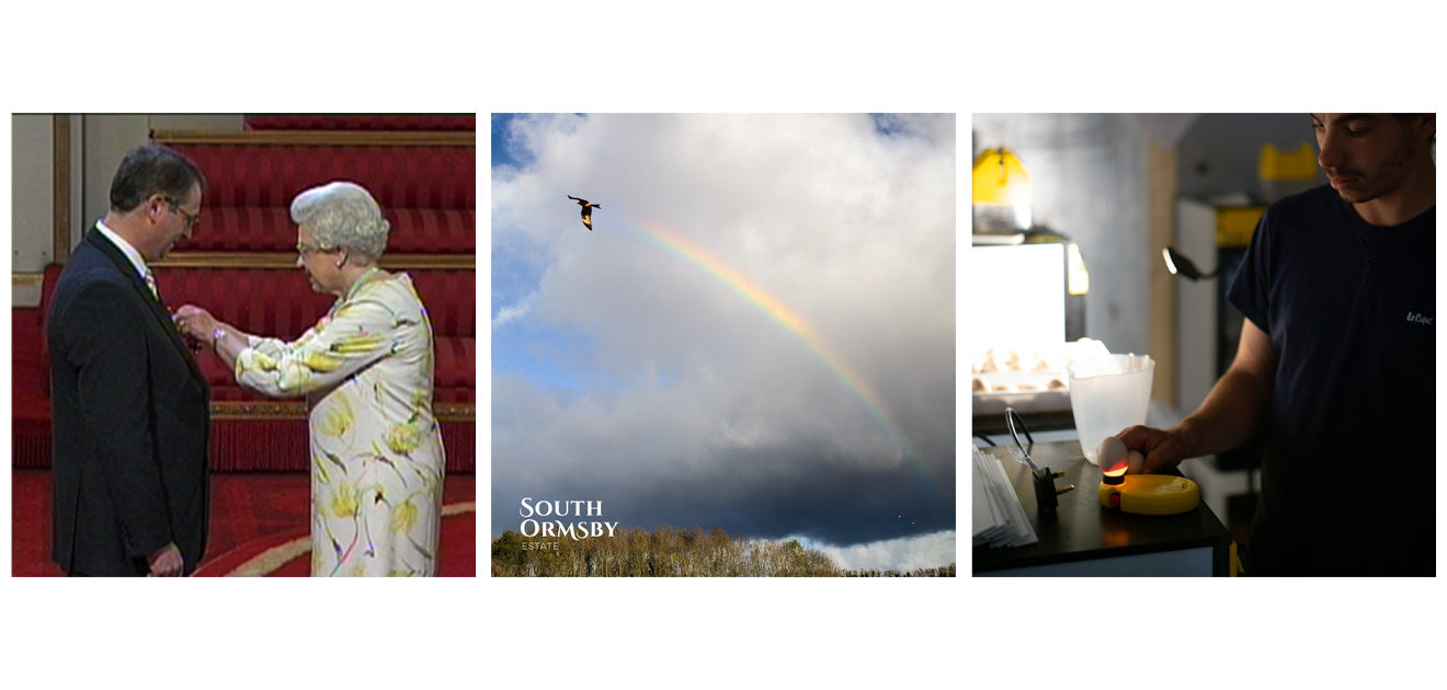 Jon Thornes & Queen Elizabeth II, rainbow, candling