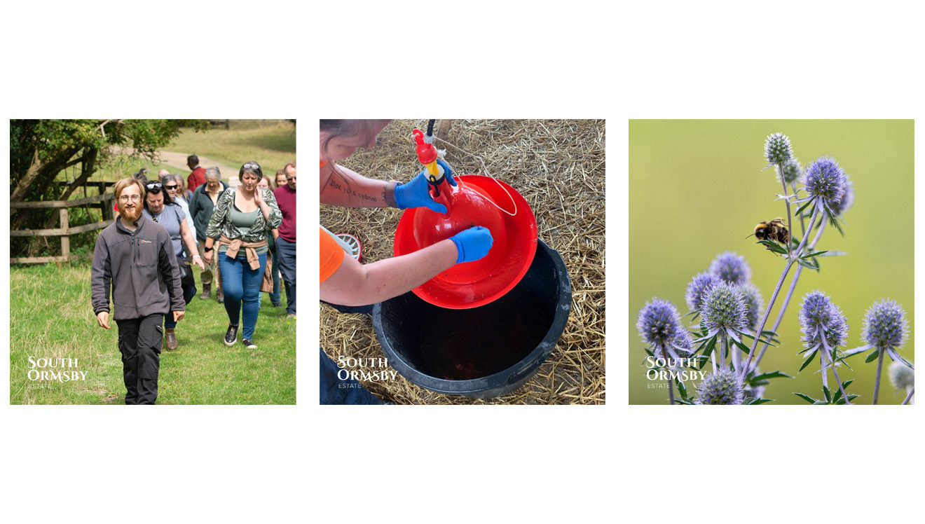 Guided tours, feeding and bees on plants