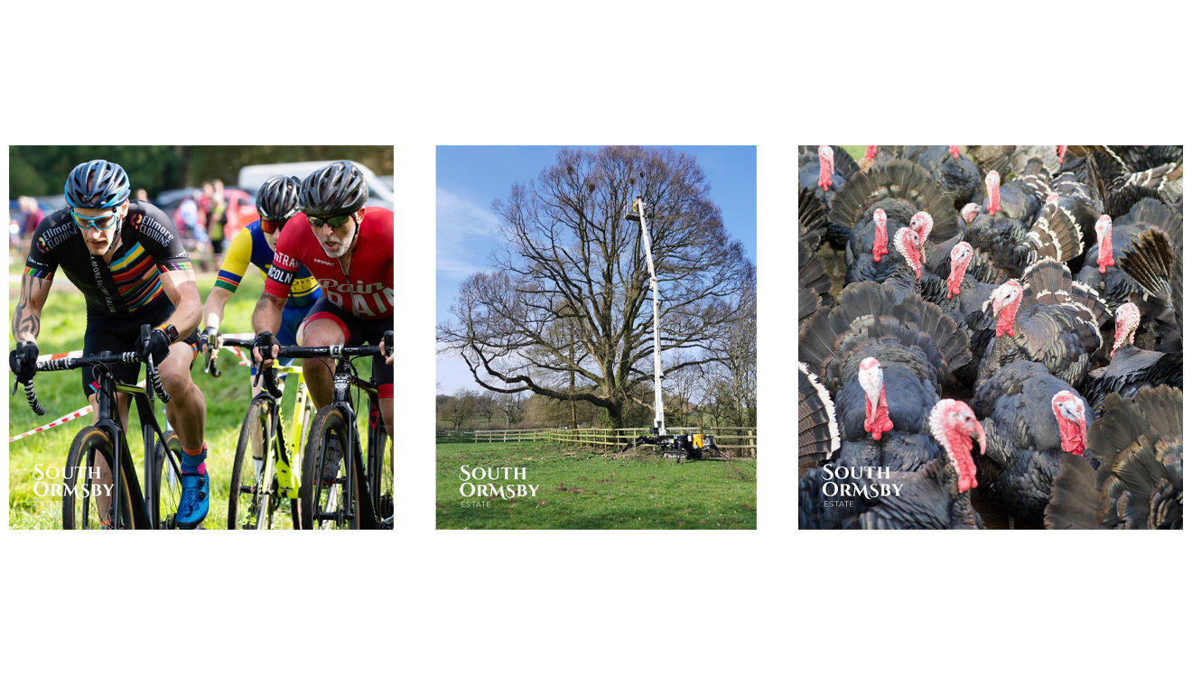 alford wheelers cyclo cross, mike finch tree surgery, norfolk black turkeys