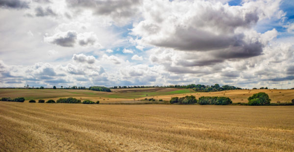 dry landscape