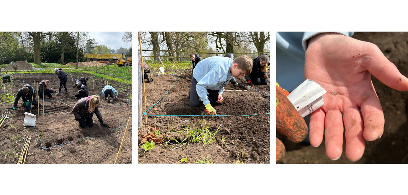 allotment