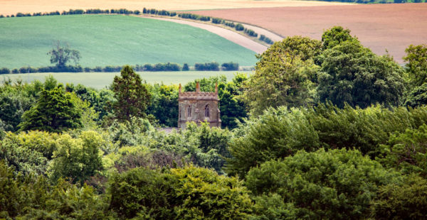 landscape wolds