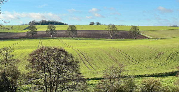 lincolnshire wolds