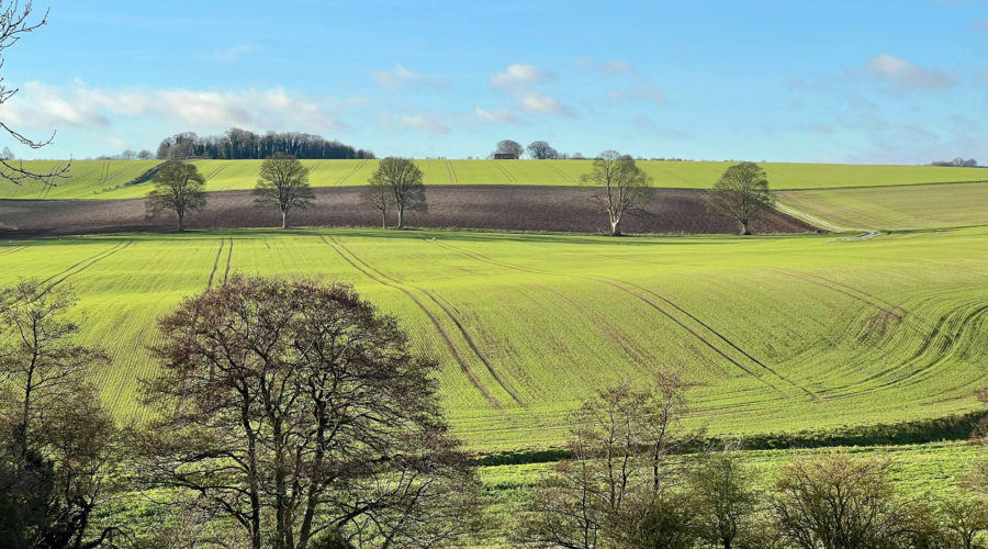 lincolnshire wolds