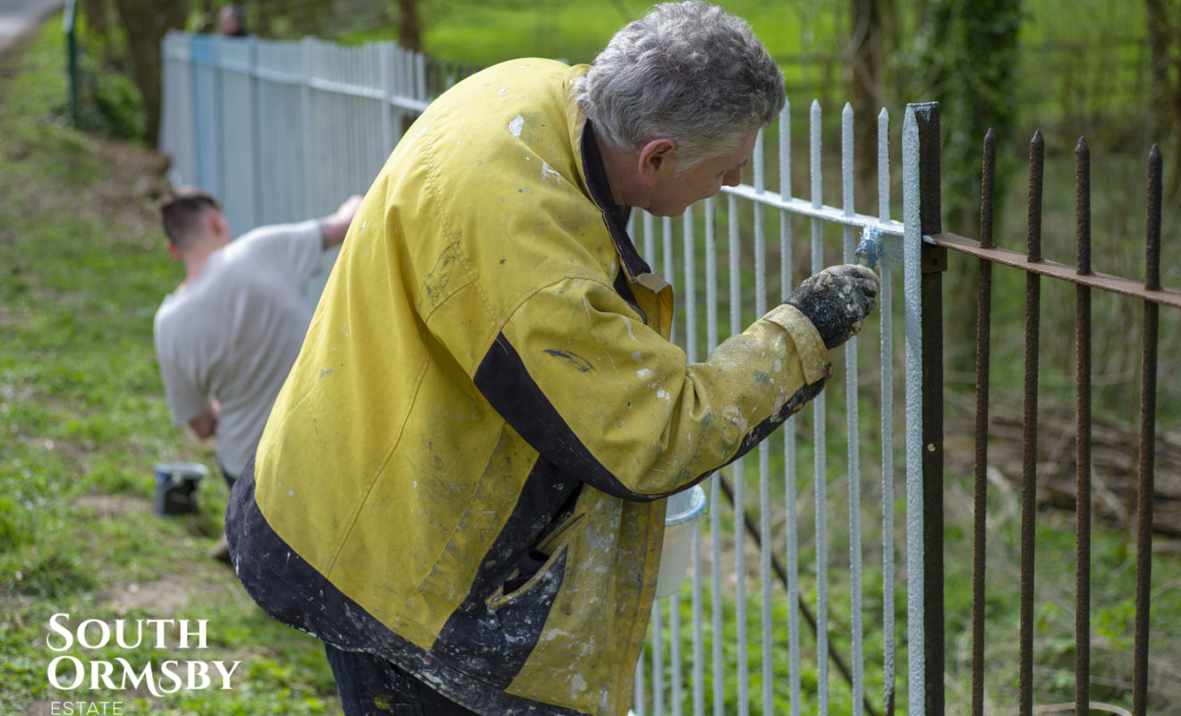 person Painting Fence