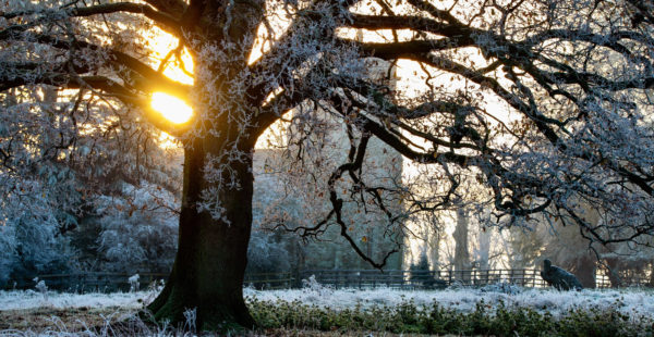 winter church