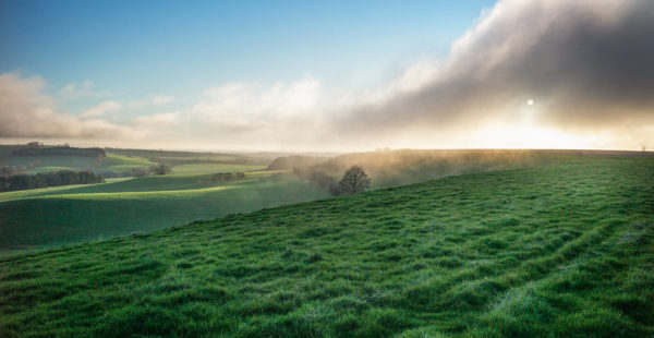 wolds landscape